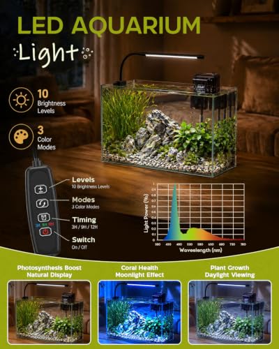5 Gallon Glass Aquarium Starter Kit, Rimless Fish Tank - color: Transparent, size: 5 Gallon
