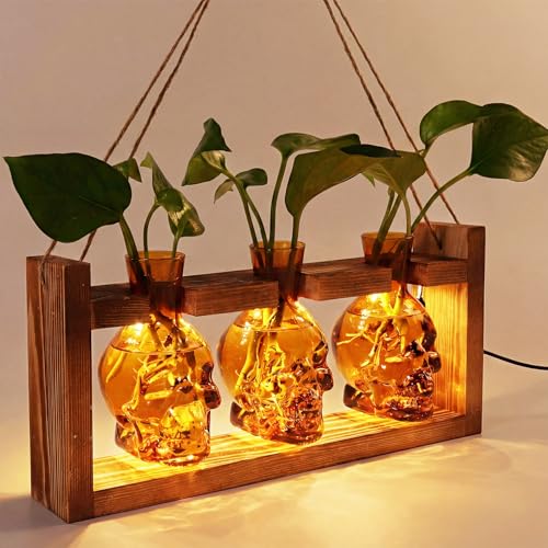 Skull Plant Propagation Station with LED Lights - Halloween Decor Skull Planter, Hydroponics Pot for Office, Unique Gifts for Women & Plant Lovers(Amber)