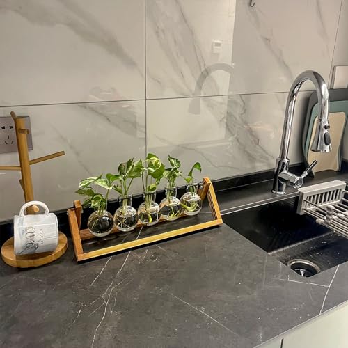 Kingbuy Plant Propagation Station with 5 Bulb Vases - size: 5 Bulb Vase
