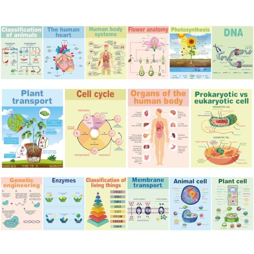 Pajean 16 Pcs Science Biology Posters, Biology Classroom Decoration
