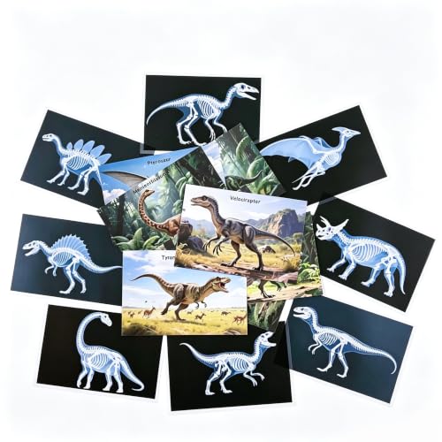 16 Animal X-Ray Set, Educational Science Kit for Kids to Explore Bone Structures for Lightstand Accessories, Light and Shadow Areas (Dinosaur Series) - color: White