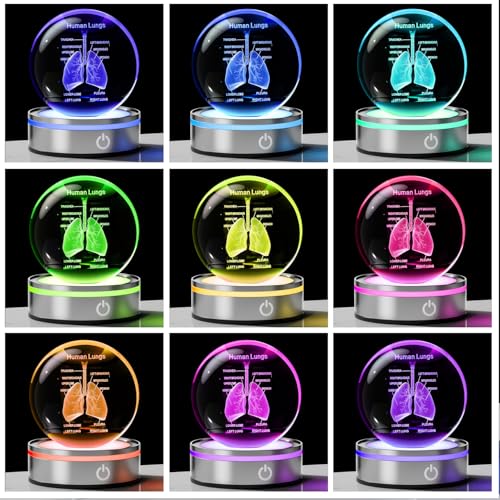 3D Human Lung Model Crystal Ball Doctor Gifts for Women Men, Laser Etched Glass Anatomical Lung Figurine Science Biology Surgeon Decor Graduation Gifts for Medical Student with LED Base - color: Lung
