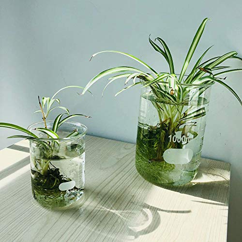 ULAB Scientific Low Form Griffin Glass Beaker Set with Magnetic Stir Bar Offered, 3 Sizes 100ml 250ml 500ml, 3.3 Borosilicate Glass, Printed Graduation, UBG1004 - style: 3 Sizes with Magnetic Stir Bar:100/250/500ml