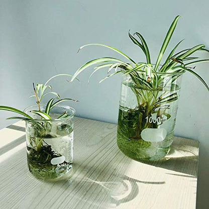 ULAB Scientific Low Form Griffin Glass Beaker Set with Magnetic Stir Bar Offered, 3 Sizes 100ml 250ml 500ml, 3.3 Borosilicate Glass, Printed Graduation, UBG1004 - style: 3 Sizes with Magnetic Stir Bar:100/250/500ml