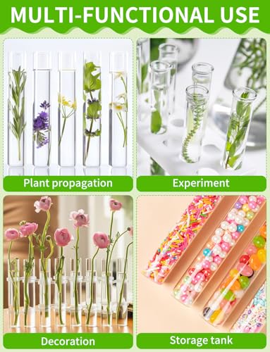 8 Tube Glass Plant Propagation Stations, Clear - color: Clear 8 Pcs