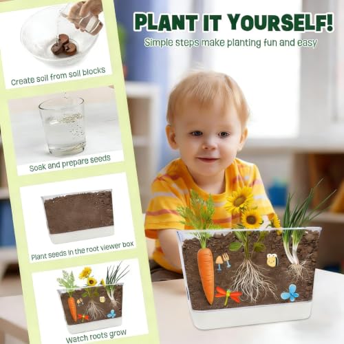 Large Root Viewer Kit for Kids STEM Science Toy Growing Kits for Ages 4, 5, 6, 7, 8, 9,10 Birthday Gifts for Boys Girls, DIY Set, Includes Strawberry, Eggplant, Dwarf Sunflower, Carrot, Pea, Scallion