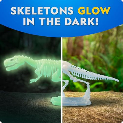 National Geographic Glow-in-the-Dark Dinosaur Skeleton Model Building Kit - style: Dinosaur Skeleton Models Kit