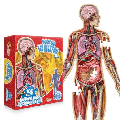 Human Anatomy Kids Floor Puzzle - Dr Livingston Jr's 100-Piece Full Body Jigsaw Puzzle - 4 FT Medically Accurate Floor Puzzles for Kids Ages 6-8, 4-8, 8-10 - Educational Toys for Children, Toddlers - style: Full Human Body Puzzle