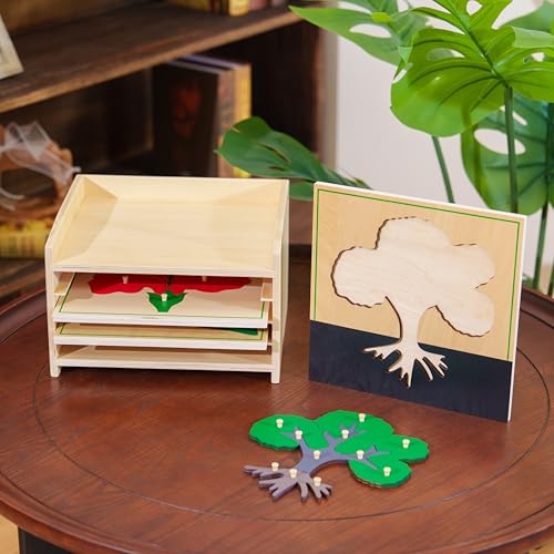 Premium Montessori Botany Puzzle Cabinet with 3 Puzzles | Tree, Flower, Leaf Kids | Science & Nature Learning Toys | MDF & Plywood Material for Classroom Homeschool Toddlers 3+