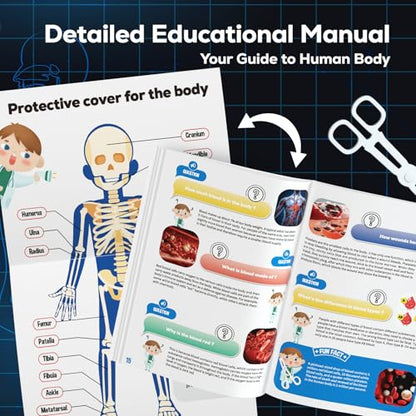 GobiDex Human Body Skeleton Model Kit, Glow in The Dark Science Kit for Kid
