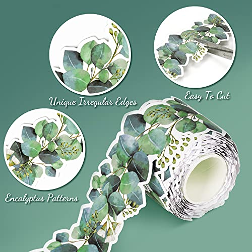98Ft Eucalyptus Green Bulletin Board Borders Classroom Border Trim - size: 2 Rolls Eucalyptus