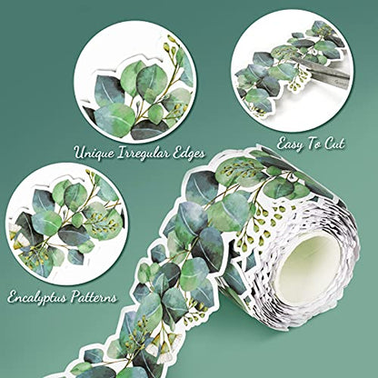 98Ft Eucalyptus Green Bulletin Board Borders Classroom Border Trim - size: 2 Rolls Eucalyptus