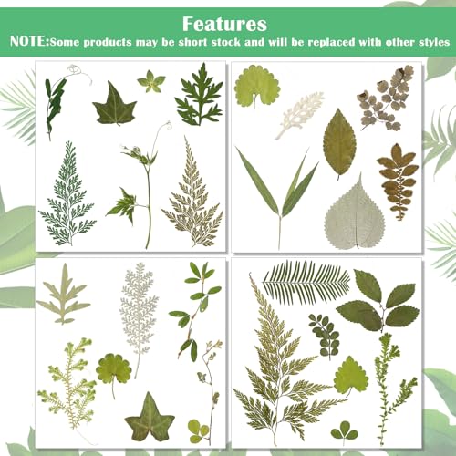 Timtin 84 Pcs Dried Pressed Leaves Flowers for Resin, Vivid - color: Vivid Style