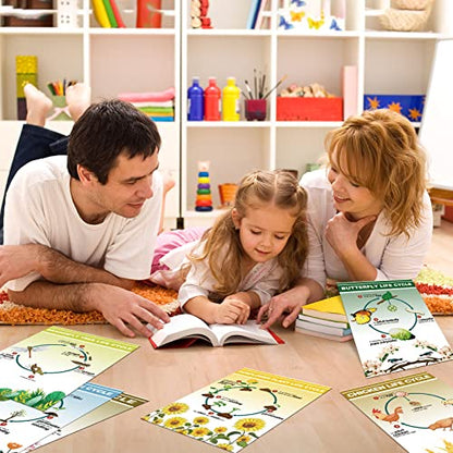9 Pieces Science Biology Posters Biology Life Cycles Bulletin Board Charts