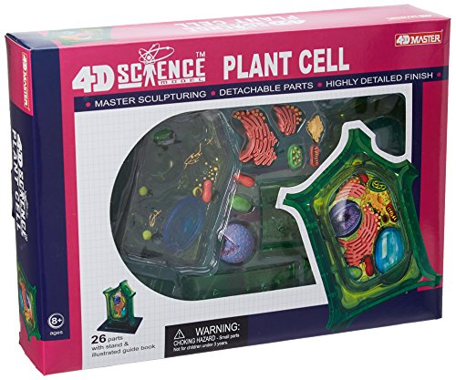 4D Plant Cell Model Kit, STEM Biology Science Toy, Ages 8+