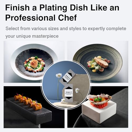 | Plating Tools Culinary Set | 11 Piece Professional Chef Plating Tools Pro Kit | Kitchen Plating Utensils | Modernist Cuisine Food Art | Stainless Steel | Black (Silver) - color: Silver