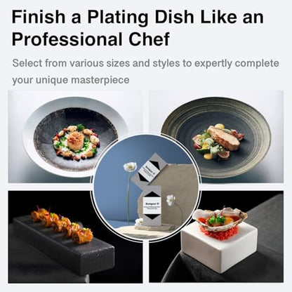| Plating Tools Culinary Set | 11 Piece Professional Chef Plating Tools Pro Kit | Kitchen Plating Utensils | Modernist Cuisine Food Art | Stainless Steel | Black (Silver) - color: Silver