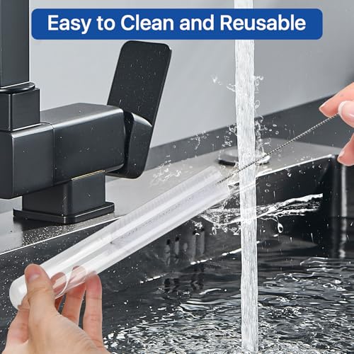 6 Pcs 100ml Large Glass Test Tube,3.3 Borosilicate Clear Big Glass Test Tube Vase for Scientific Experiment,30mm ODx200mm Length Round Bottom Test Tubes for Hydroponic Flower Home Office Decor