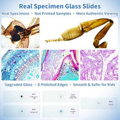 Kids Handheld Digital Microscope 1000X: Science Gift Kit STEM Toy Ages 5-13 - color: Yellow