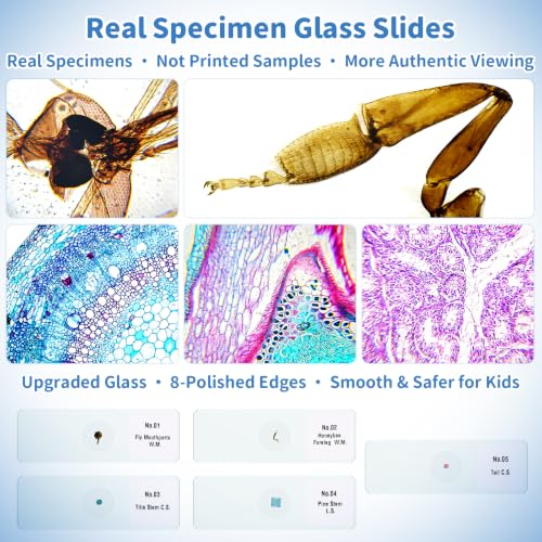 Kids Handheld Digital Microscope 1000X: Science Gift Kit STEM Toy Ages 5-13 - color: Yellow