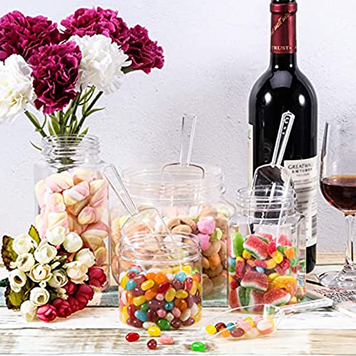 Jinei 24 Pcs 6.5" Clear Plastic Scoops Bulk Multi Purpose - size: 6.5"