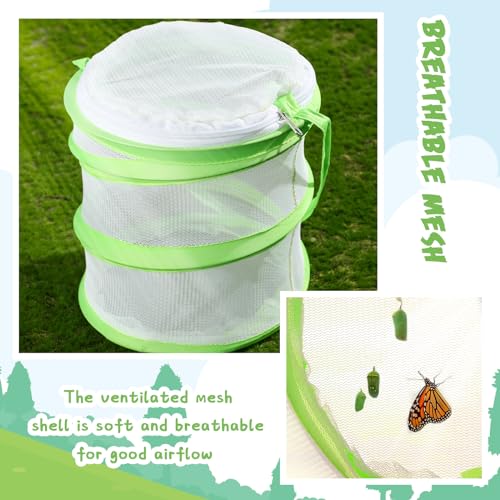 Sherr 2 Pcs Mini Butterfly Habitat Cage Mesh Foldable Insect,Green - color: Green