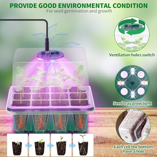 Seed Starter Trays with Grow Light Kit, 2 Pack Plant Greenhouse Propagator - size: 2-Pack (Green)