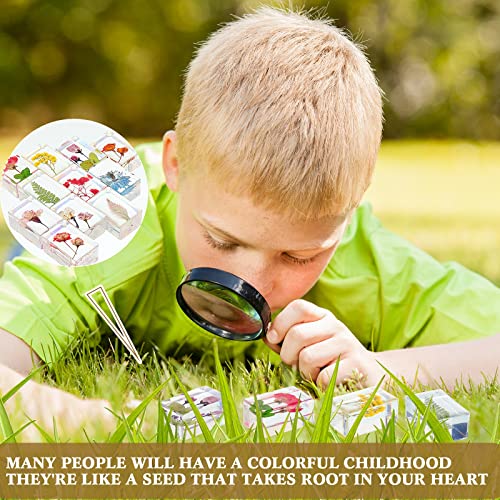 Geelin 24 Pcs Insect in Resin Specimen Set Specimen Bugs Plant Flower Paperweight Butterfly Science Mini Animals Figures for Biology Science Teacher Education Collection