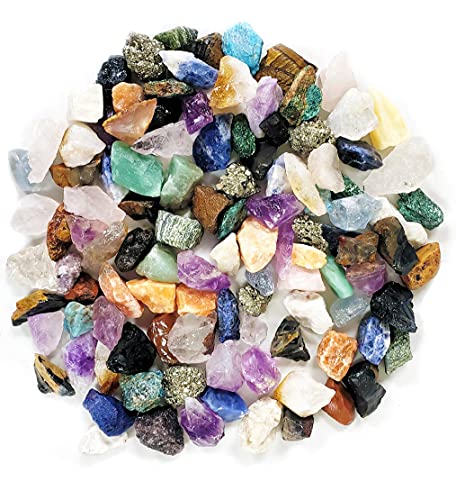 Dan&Darci Rock Collection for Kids - Includes 250+ Bulk Rocks, Gemstones & Crystals + Genuine Fossils and Minerals - 2 Lbs. - Geology Earth Science STEM Toys Activity, Gifts for Boys & Girls Ages 6+