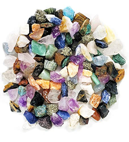 Dan&Darci Rock Collection for Kids - Includes 250+ Bulk Rocks, Gemstones & Crystals + Genuine Fossils and Minerals - 2 Lbs. - Geology Earth Science STEM Toys Activity, Gifts for Boys & Girls Ages 6+