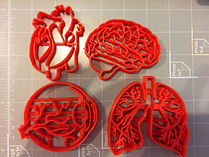 Human Tissue Anatomy Cookie Cutter (Set of 4)