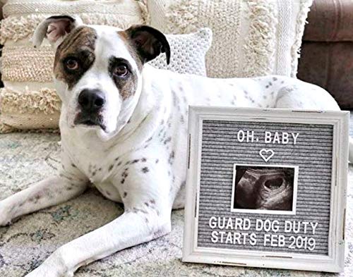 Gray Felt Letter Board Back to School Sign with Rustic Wood White Frame - Grey Farmhouse Letter Board Sign with Stand - Baby Announcement 10x10 Felt Board Changeable Message Board with 350 Letter Set - color: Gray, size: 10x10 inches