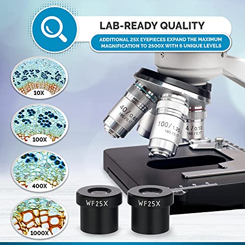 AmScope B120C-BK-BS 2500X LED Lab Binocular Compound Microscope
