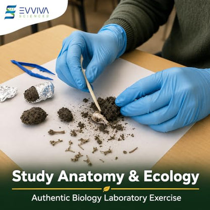 ES EVVIVA SCIENCES Owl Pellet Kit - Dissect 4 Real Owl Pellets w/Tools & PDF Bone Charts - Science Education Kit for Ages 15+ - Hands-On Animal Biology Science Lab Activity - Includes Owl eBook