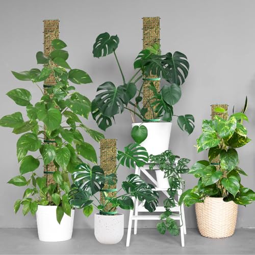 60"/40"/24" Metal Moss Pole, D Shape Sphagnum Moss Pole, Moss Poles for Climbing Plants, Monstera, Indoor Climbing Plants (2 Each of 40" 24") - style: 2 Each of 40" 24"