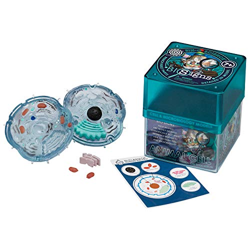 EIN-O Science BioSigns Animal Cell