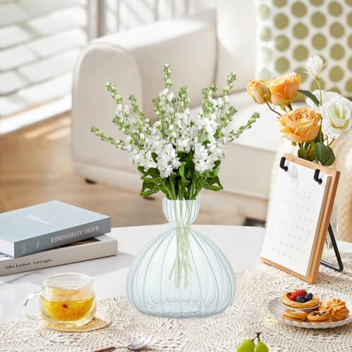 Large Avocado Grow Vase Glass Striped Acorn Seed Starter Vase for Growing - size: 1PCS Striped 5.9*5.9*1.96inch