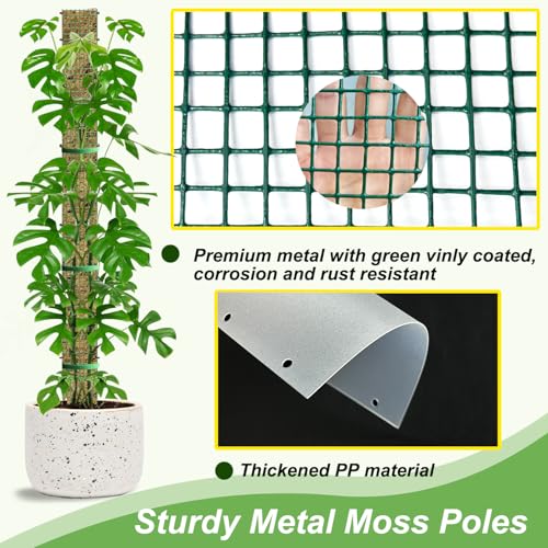 60" Metal Moss Pole, D Shape Sphagnum Moss Pole, Moss Poles for Climbing Plants, Monstera, Indoor Climbing Plants (6Pcs 60") - style: 6Pcs 60"