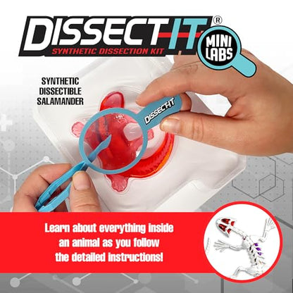 Top Secret Toys Dissect-It Mini Labs Salamander Dissection Kit for Kids, Realistic Synthetic Kids Science Kit - On, Biology and Animal Anatomy, STEM Toy, Ages 6+ - style: Mini Salamander