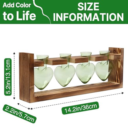 Plant Propagation Stations Heart Plant Terrarium Kit - color: Green