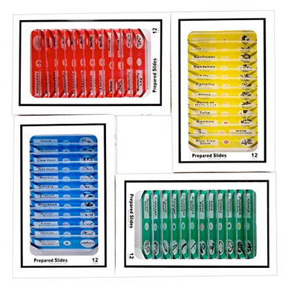 BoliOptics 48 Pcs Kids Plastic Prepared Microscope Slides of Animals Insects Plants Flowers Sample Zoological Botanical Biology Specimen Set for Students Hobbyists Beginners Kids Homeschool SL39901014