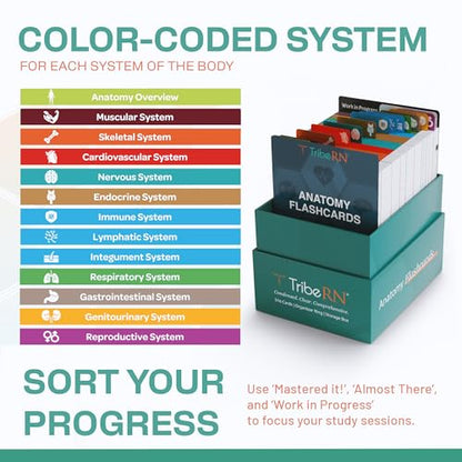 TribeRN Anatomy and Physiology Flash Cards – 320 Study Resources for Students – Human Anatomy & Physiology Study Tools – Medical, Nursing School Essentials – Durable & Easy to Use Flashcards - style: Anatomy and Physiology