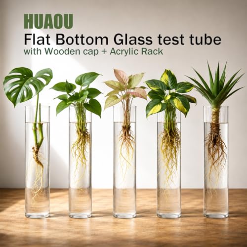 6pcs 30ml Glass Test Tube with Cork Stopper, 20x150mm Flat Bottom Storage Tube with Cap, 6 Holes Acrylic Rack, Plant Propagation Vase Set for Scientific Experiments Lab Candy Liquid Party Decor - size: 20 x 150mm