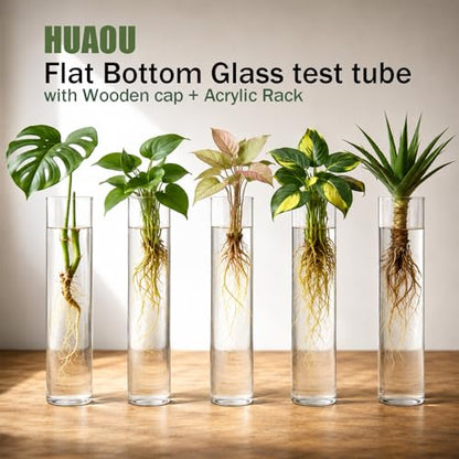 6pcs 30ml Glass Test Tube with Cork Stopper, 20x150mm Flat Bottom Storage Tube with Cap, 6 Holes Acrylic Rack, Plant Propagation Vase Set for Scientific Experiments Lab Candy Liquid Party Decor - size: 20 x 150mm
