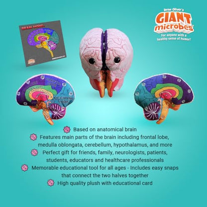 GIANTmicrobes Brain Model Anatomy Plush with Embroidered Details