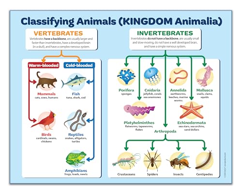 ZOCO – Animal Kingdom Classification Posters (10-Pack) – Vertebrates & Invertebrates Biology Chart, Laminated 17 × 22, for Middle & High School Science Classrooms - size: 10 Pack - 22L" x 17W"