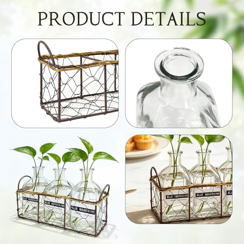 Plant Propagation Stations with Metal Stand 3 Jars