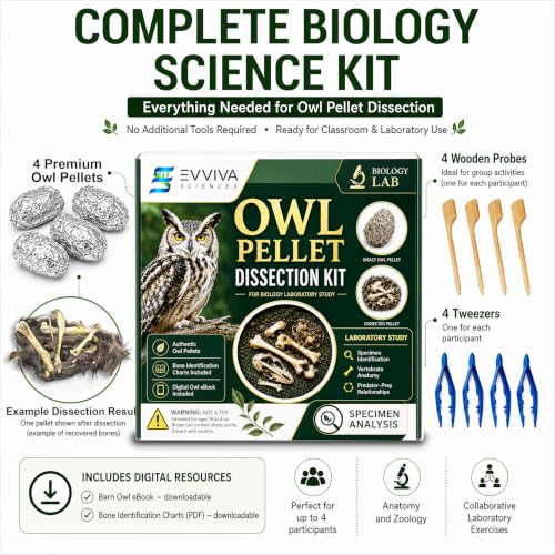 ES EVVIVA SCIENCES Owl Pellet Kit - Dissect 4 Real Owl Pellets w/Tools & PDF Bone Charts - Science Education Kit for Ages 15+ - Hands-On Animal Biology Science Lab Activity - Includes Owl eBook