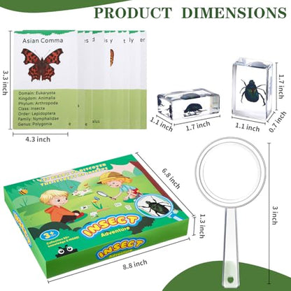 Briwooody 12 Pcs Insect in Resin Specimen, Bugs Collection, Butterfly - style: Butterfly