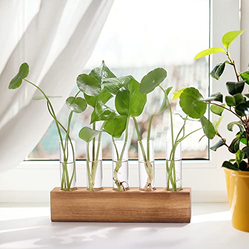 YIBOT Plant Propagation Station, Plant Terrarium with Wooden Stand - color: Brown, size: 8.7"L x1.6"W x2"H